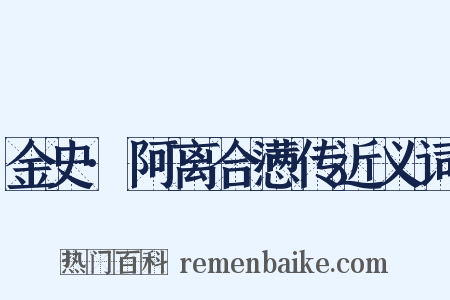 金史·阿离合懑传近义词是什么意思的图片